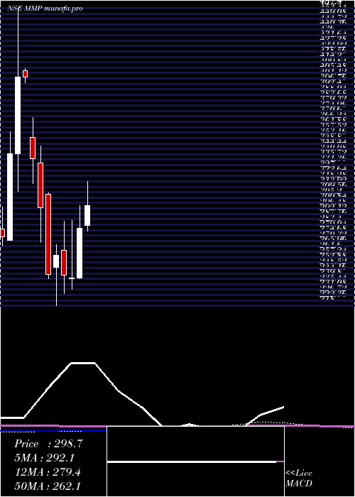  monthly chart MmpIndustries