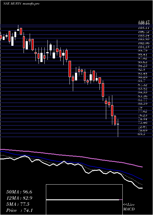  Daily chart MufinGreen