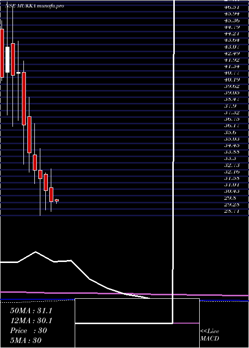  monthly chart MukkaProteins