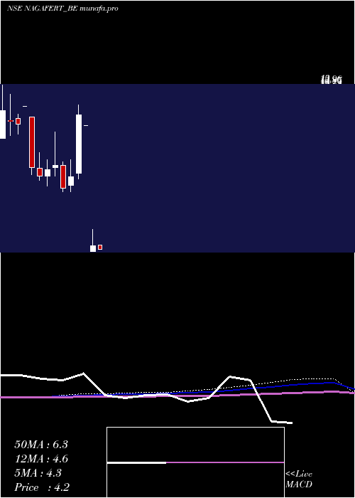 monthly chart NagarjunFert