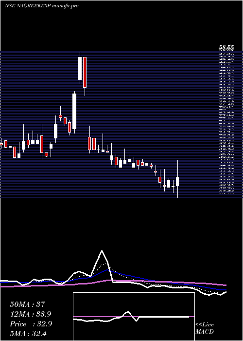  Daily chart NagreekaExports