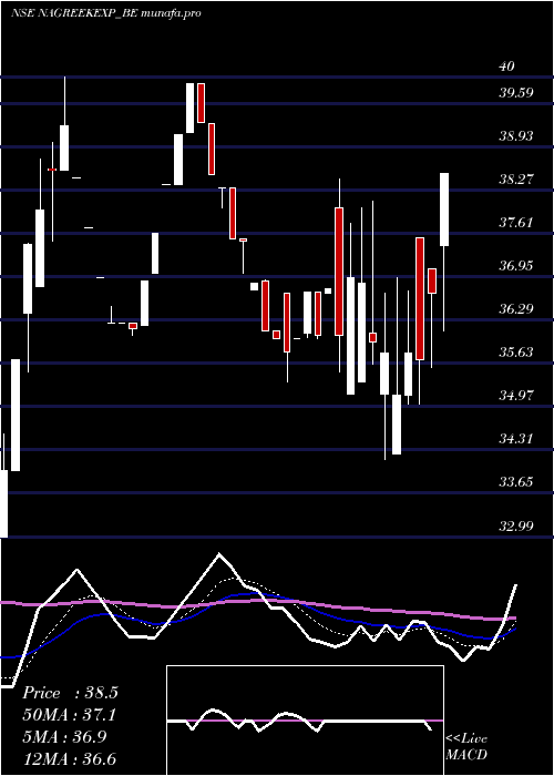  Daily chart NagreekaExports