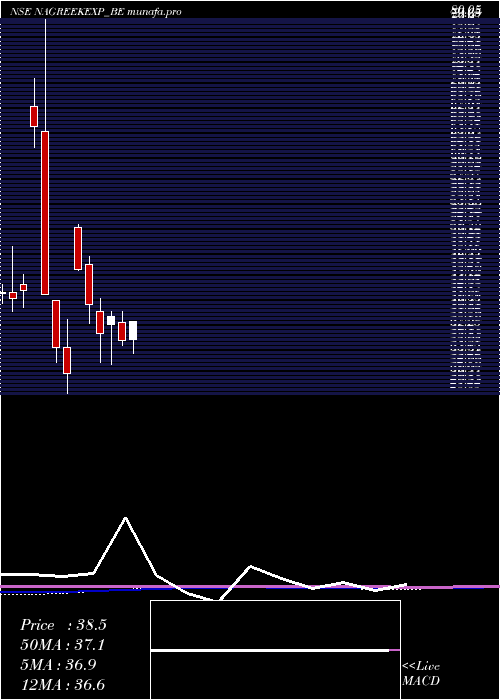  monthly chart NagreekaExports