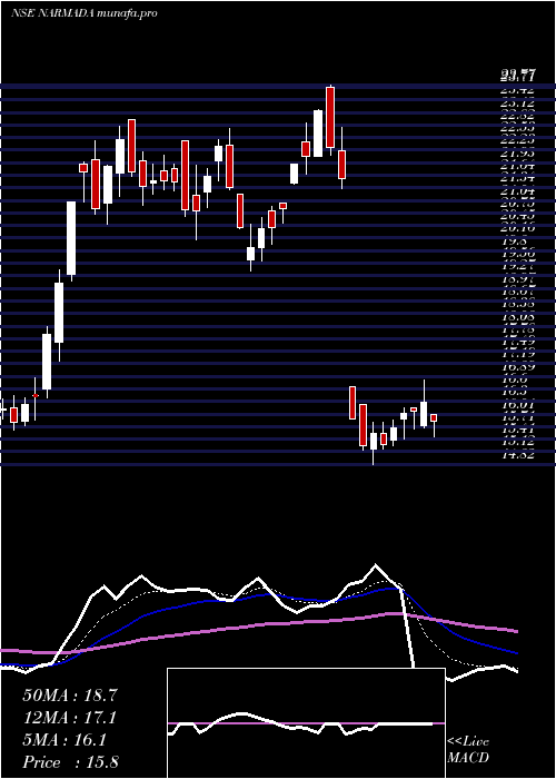 Daily chart NarmadaAgrobase