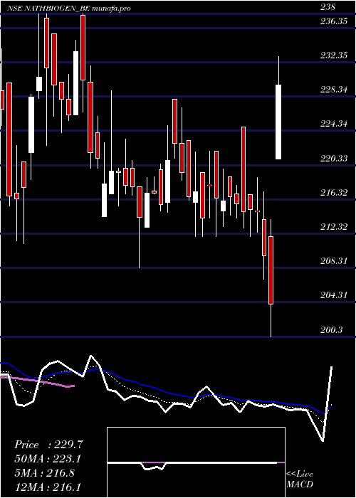  Daily chart NathBio