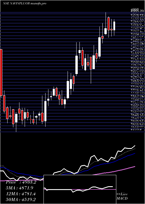 Daily chart NavinFluorine
