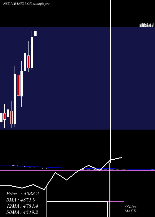 monthly chart NavinFluorine