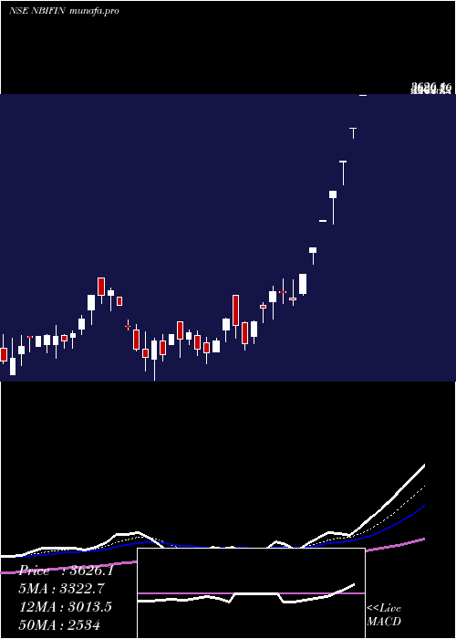  Daily chart NB