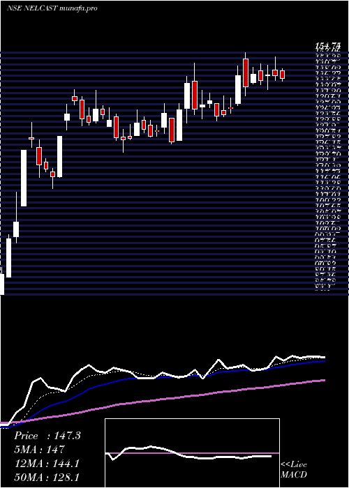  Daily chart Nelcast