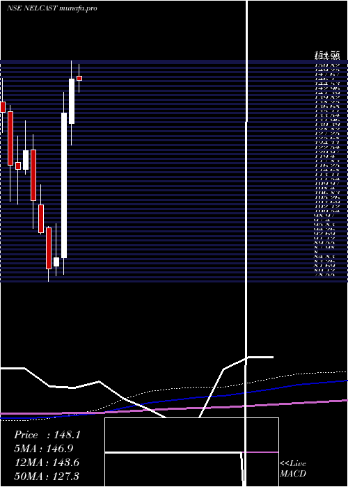  monthly chart Nelcast