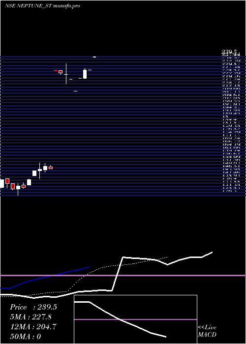  Daily chart NeptunePetrochemicals