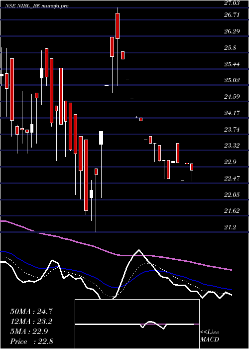  Daily chart NrbIndus