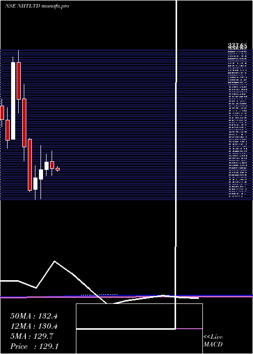 monthly chart Niit