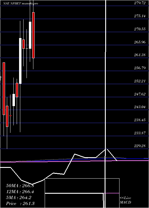  monthly chart TataamlNpbet