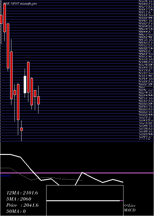 Daily chart NetworkPeople