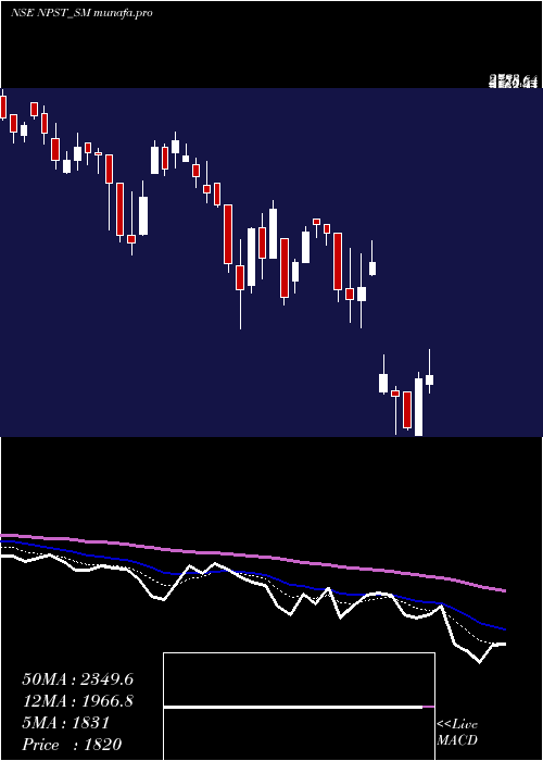  Daily chart NetworkPeople