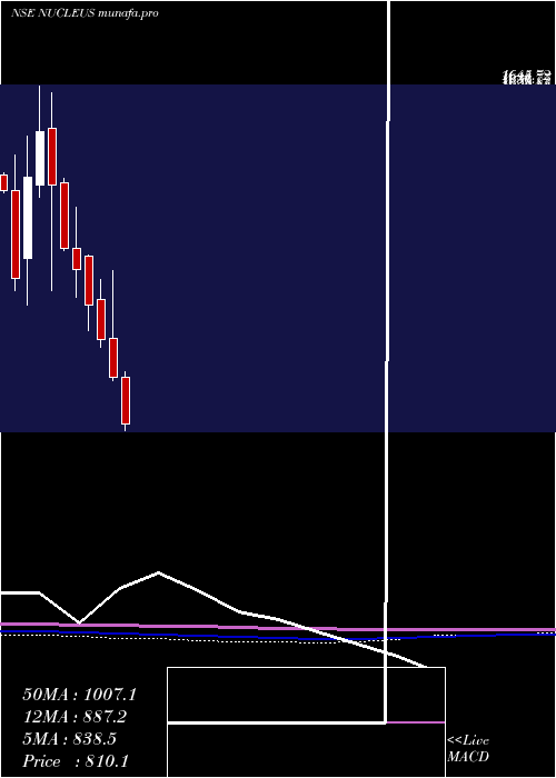  monthly chart NucleusSoftware