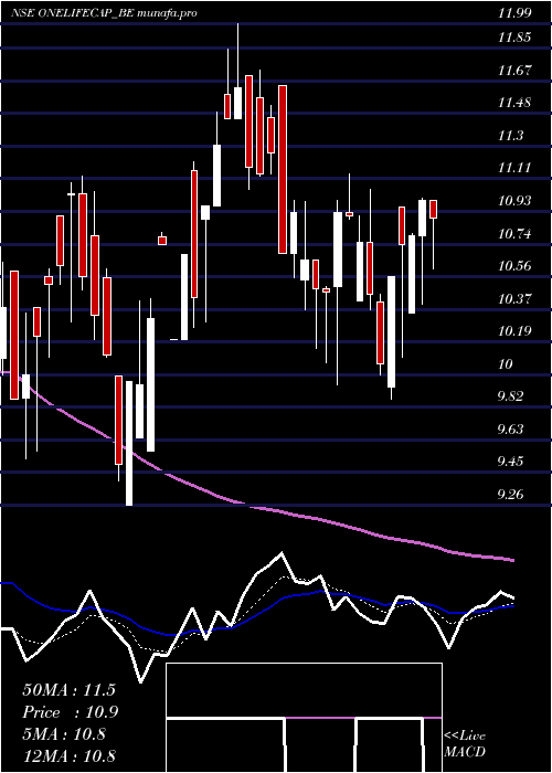 Daily chart OnelifeCap
