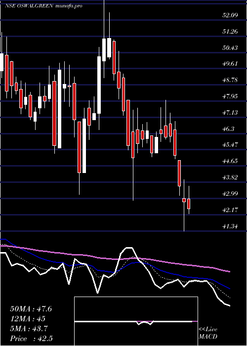  Daily chart OswalGreentech