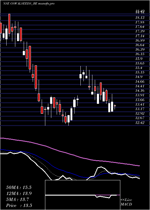 Daily chart ShreeoswalS