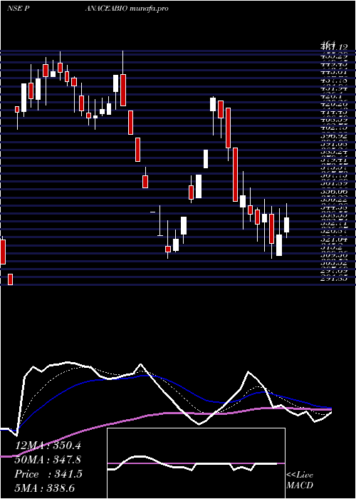  Daily chart PanaceaBiotec