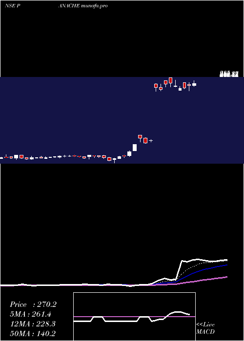  Daily chart PanacheDigilife