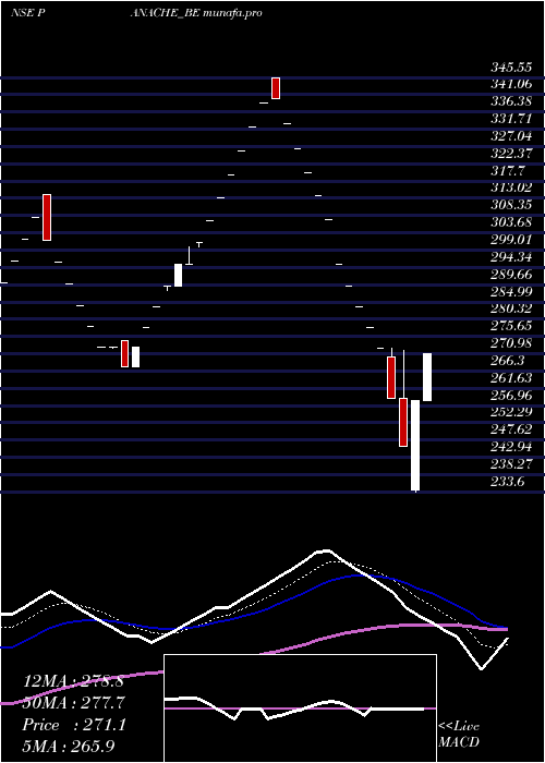  Daily chart PanacheDigilife