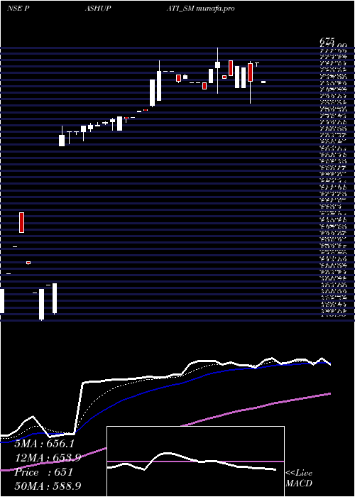 Daily chart PashupatiCotspin
