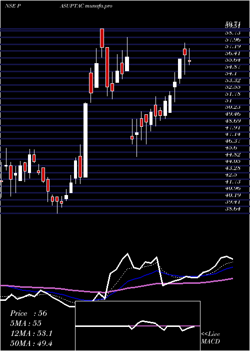  Daily chart PasupatiAcrylon