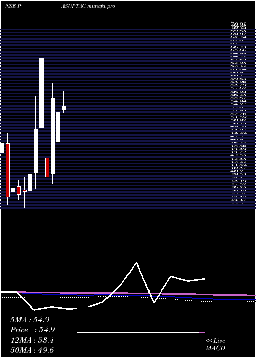  monthly chart PasupatiAcrylon