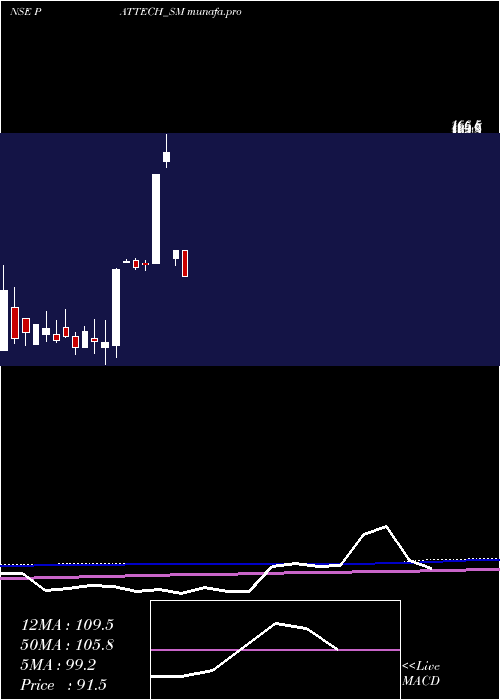  monthly chart PattechFitwell