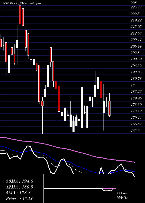  Daily chart PetroCarbon