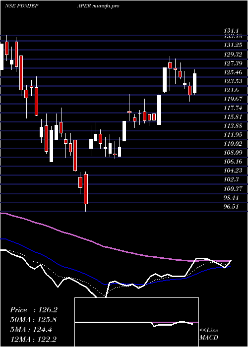 Daily chart PudumjeePaper