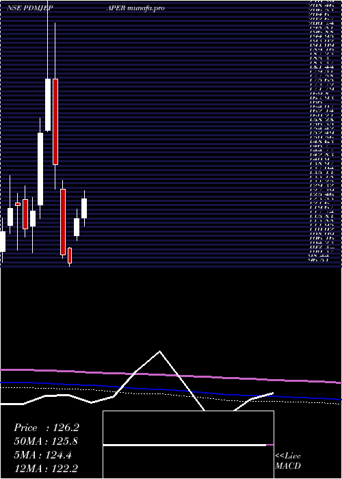 monthly chart PudumjeePaper