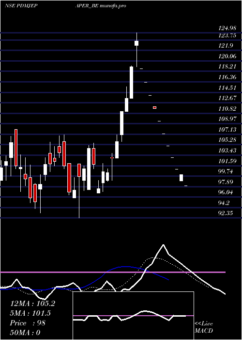 Daily chart PudumjeePaper