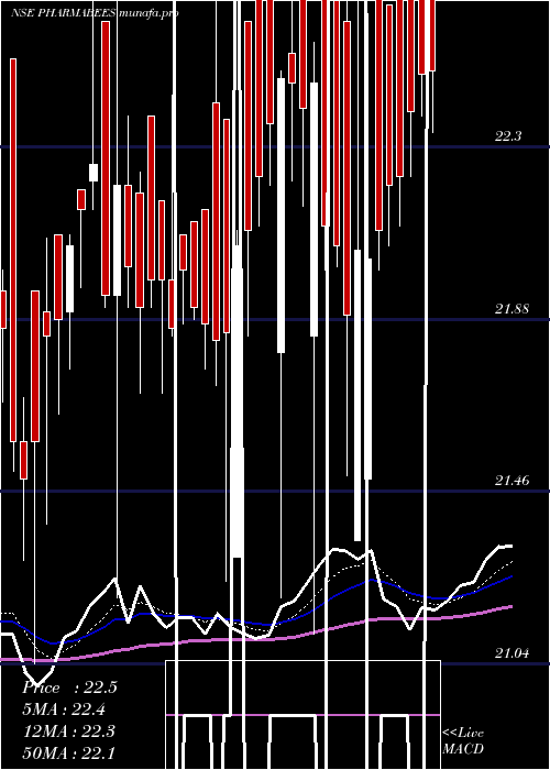 Daily chart NipponamcNetfpharma