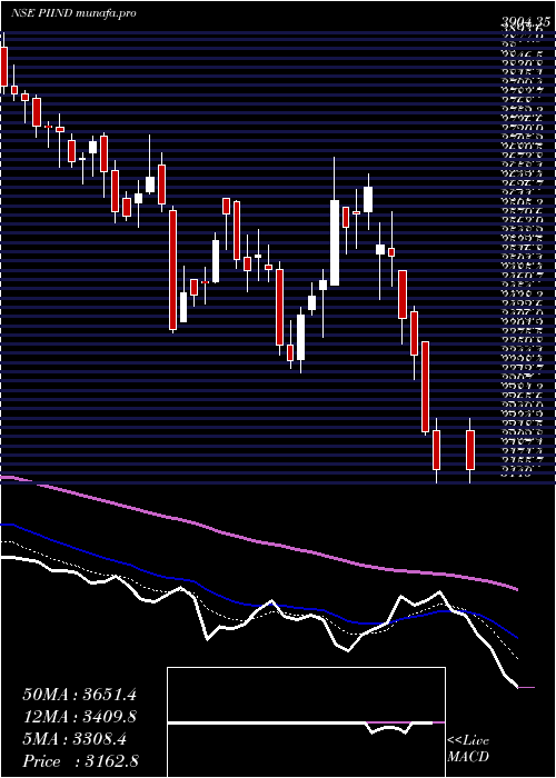  Daily chart PiIndustries