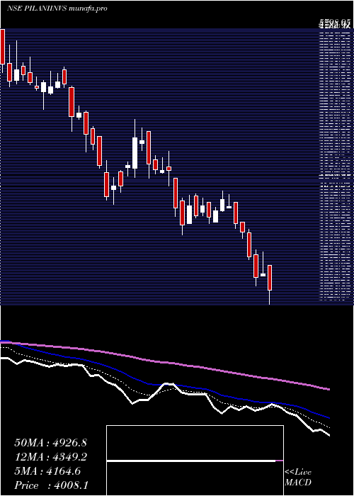  Daily chart PilaniInv