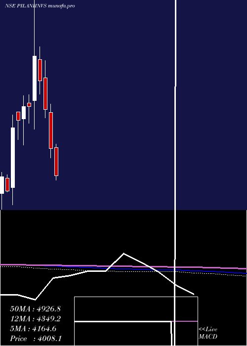  monthly chart PilaniInv