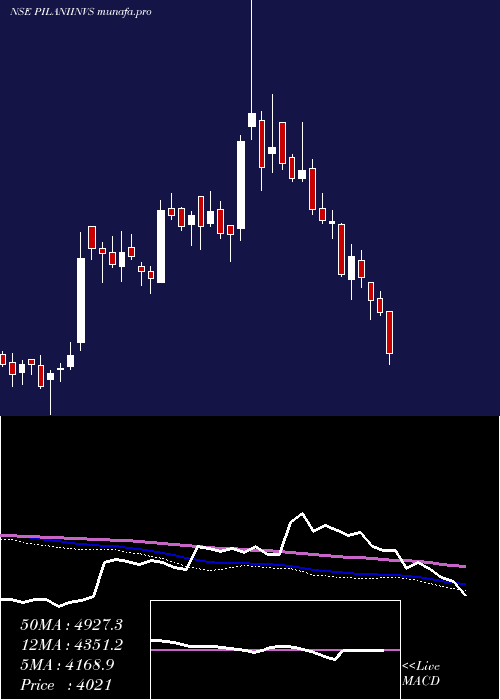  weekly chart PilaniInv