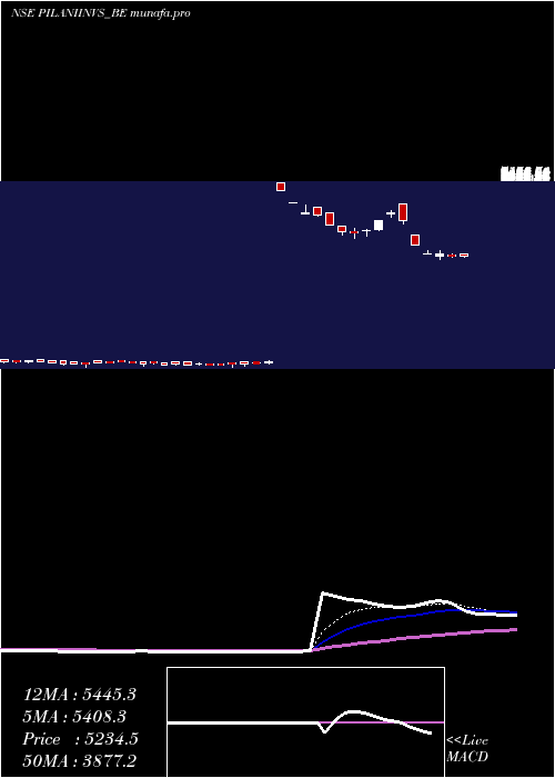  Daily chart PilaniInv