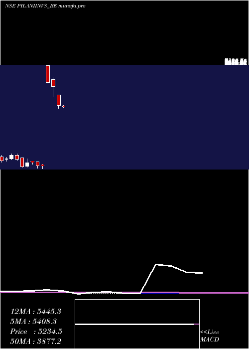  monthly chart PilaniInv