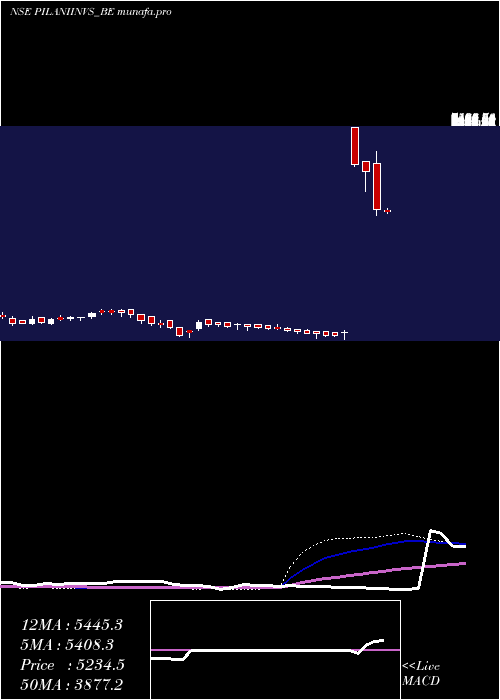  weekly chart PilaniInv