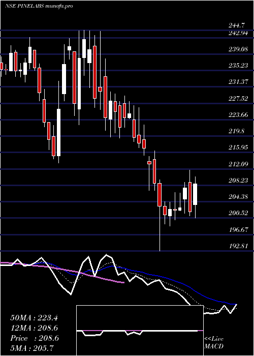  Daily chart PineLabs