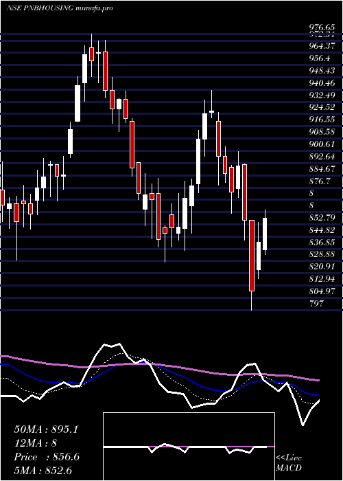 Daily chart PnbHousing
