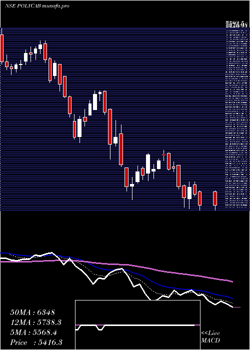  Daily chart PolycabIndia