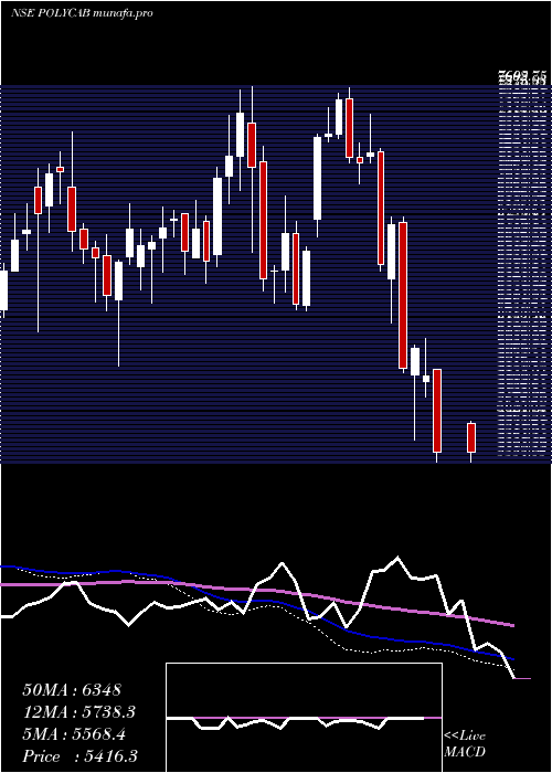  weekly chart PolycabIndia