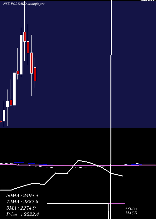  monthly chart PolyMedicure