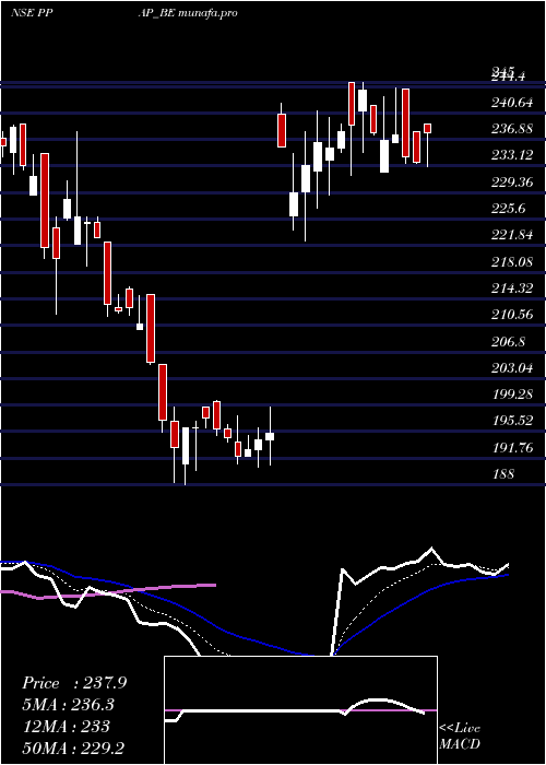 Daily chart PpapAutomotive