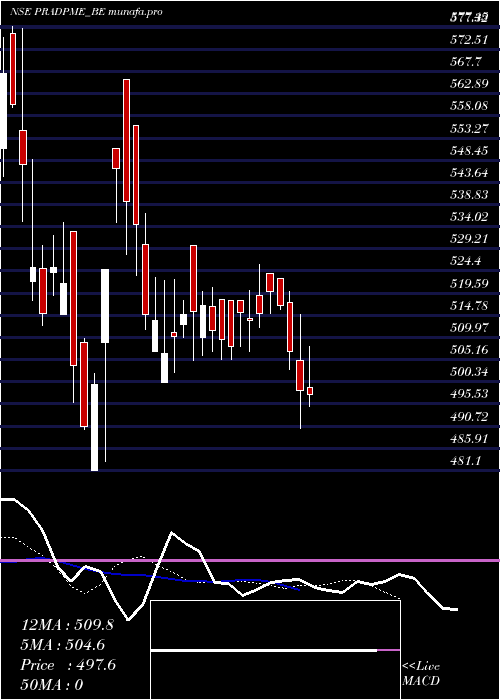  Daily chart PradeepMetals